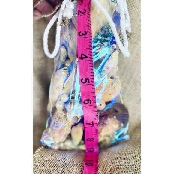 Gift Bag Of Beautiful Seashells Sourced From Coastal SE Georgia And NE Florida - Picture 5 of 16